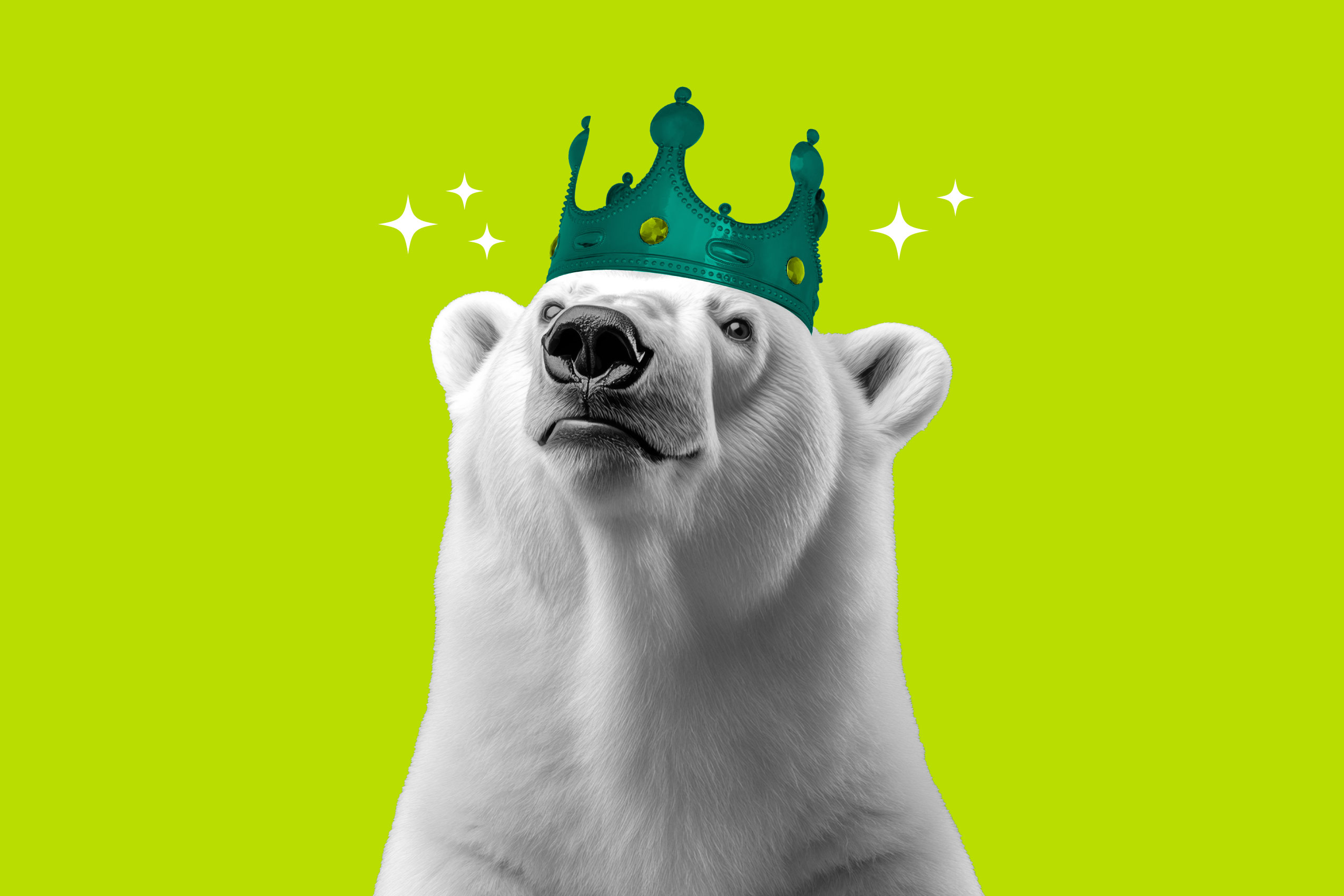 L'orso polare è a rischio estinzione